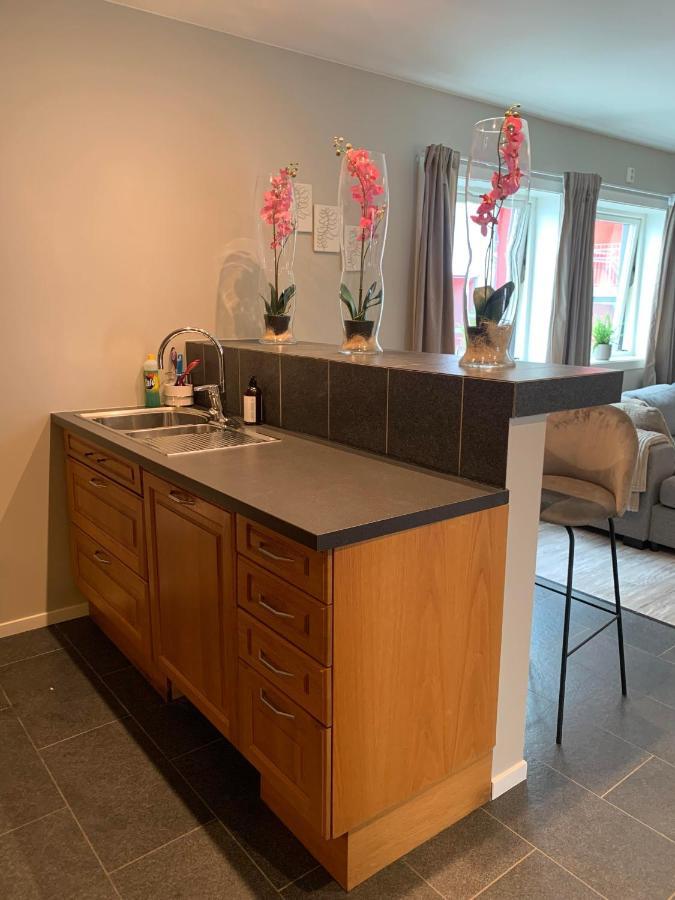 Notodden Sentrum Apartment No 8 Экстерьер фото